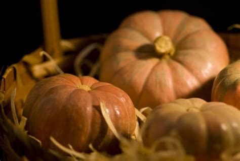 Pumpkin Storing Tips