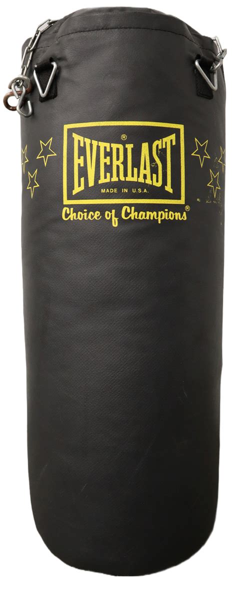 Punching Bag Choices