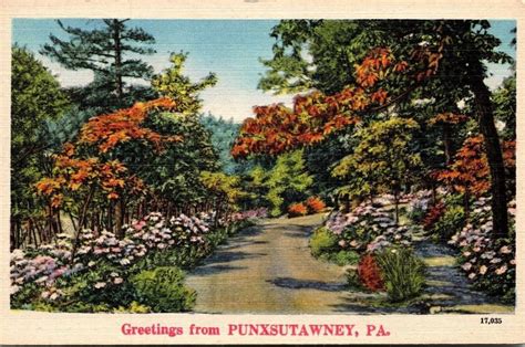 Punxsutawney Landscapes