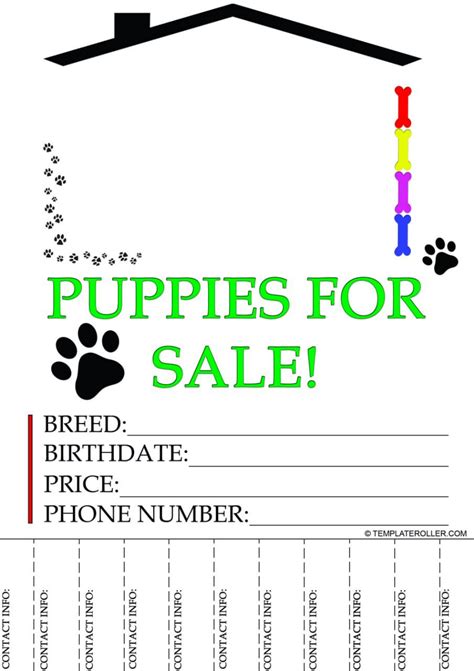 Puppies for Sale Flyer Template Design