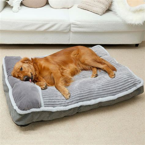 Puppy bed and blanket