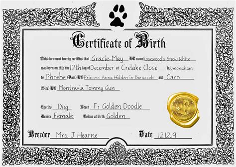 Puppy Birth Certificate Examples