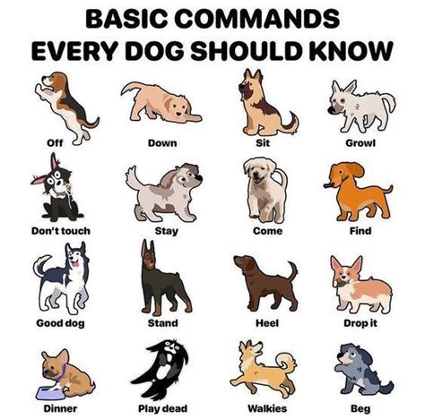 Puppy Commands