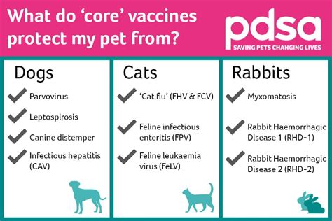 Puppy core vaccinations