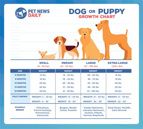 Puppy Development Tracking