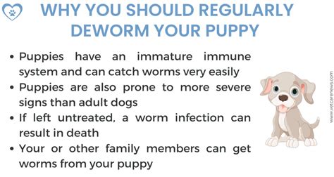 Puppy deworming importance