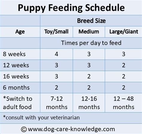 Puppy Feeding Schedule