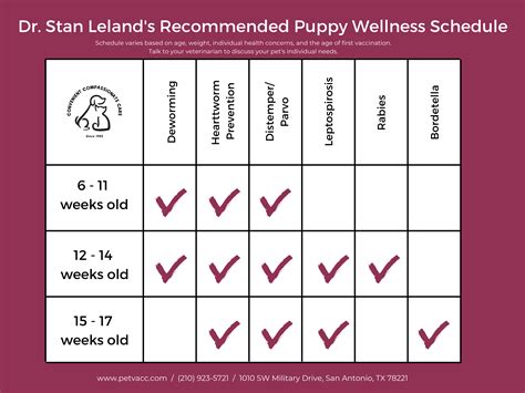 Puppy Health Schedule Gallery Image 10