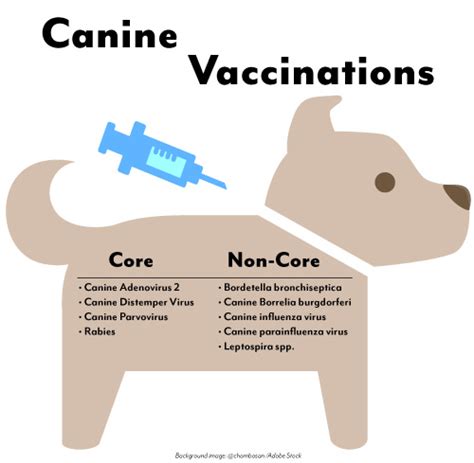 Puppy non-core vaccinations