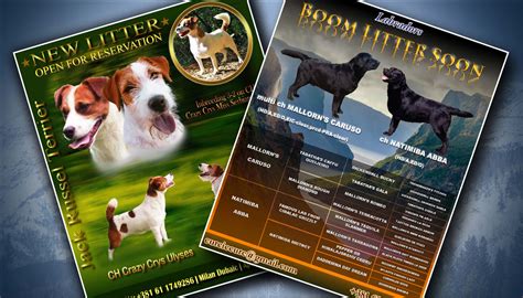 Puppy Sale Flyer Template 8