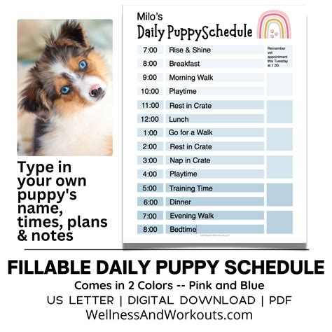 Puppy Schedule Template Gallery Image 1