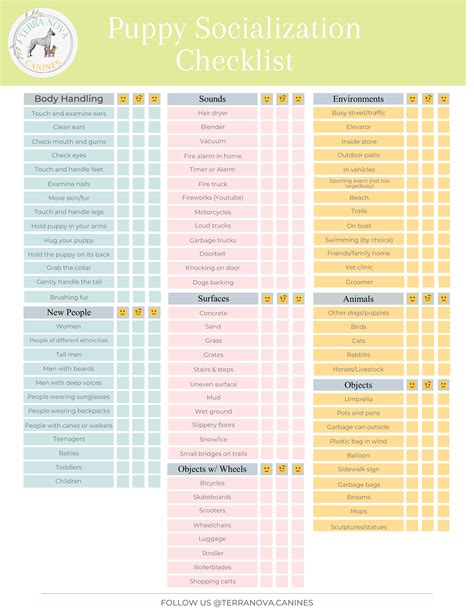 Puppy Socialization Schedule Template