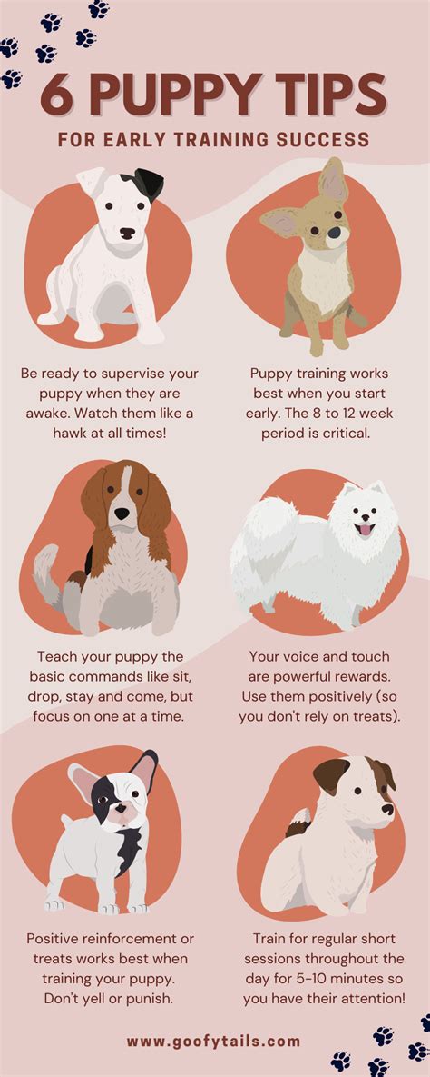 Puppy Training Tips