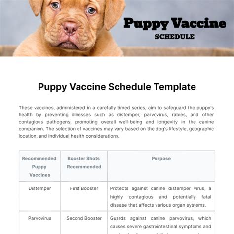 Puppy Vaccination Schedule Template