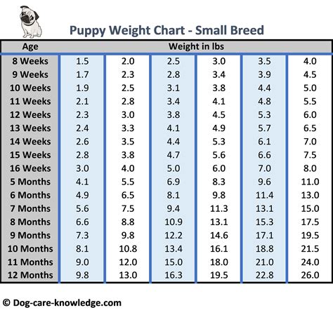 Puppy Weight Analysis