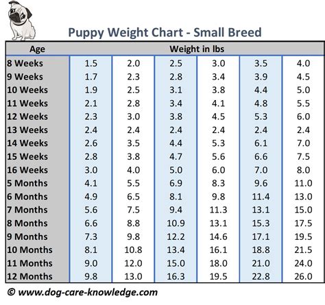 Benefits of Using a Puppy Weight Chart Printable