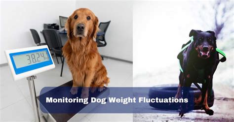 Puppy Weight Monitoring