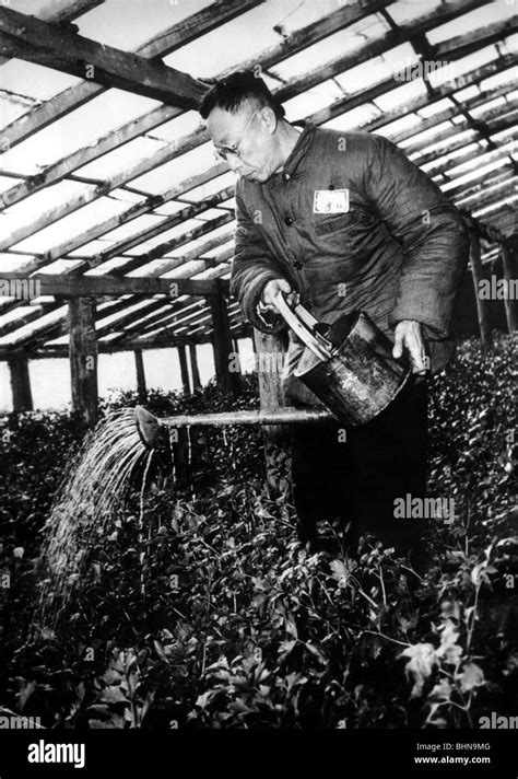 Puyi, working as a gardener in the Botanical Gardens, Beijing