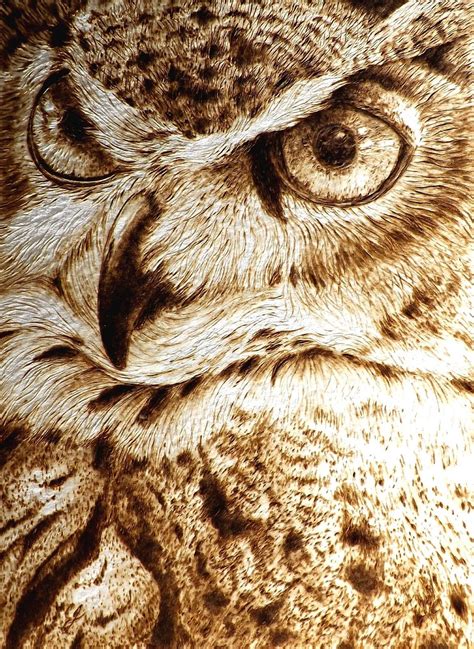 Animal pyrography pattern