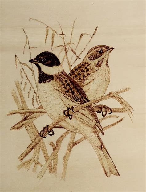 Bird pyrography pattern