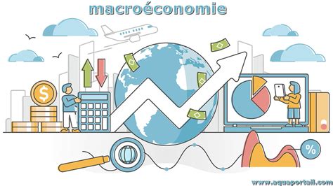 Q and E Macro Efficiency