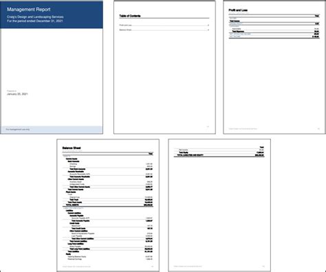 QBO Management Report Templates Example 4