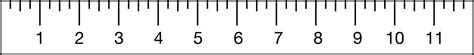 Quarter-Inch Ruler Print