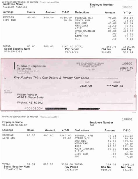 QuickBooks Pay Stub Template 5