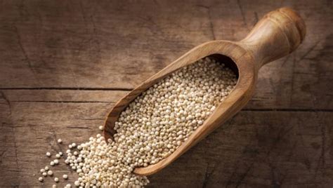 Quinoa and Digestive Health