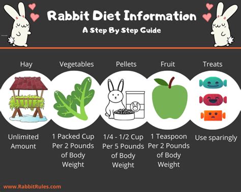 Rabbit diet essentials