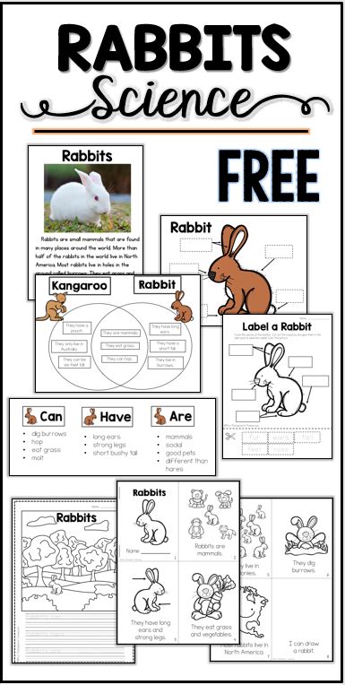 Rabbit Habitat Printable