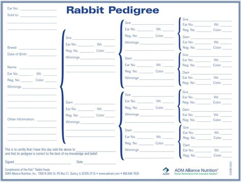 Rabbit Pedigree Template Benefits