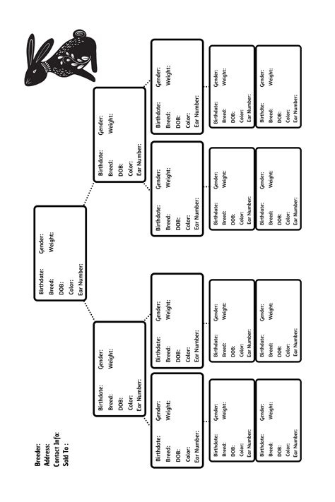 Rabbit Pedigree Template Blank