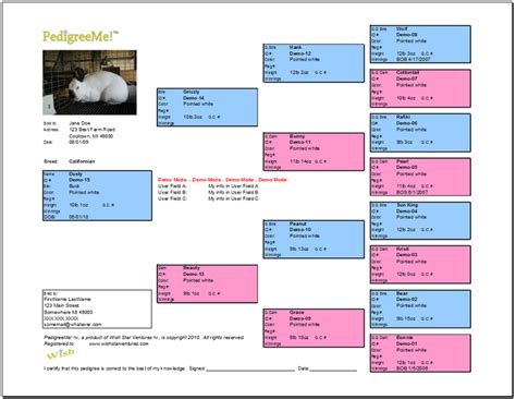 Rabbit Pedigree Template Example