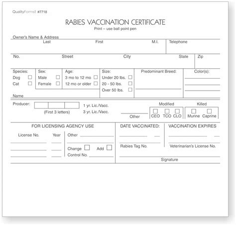 Printable Rabies Certificate Template