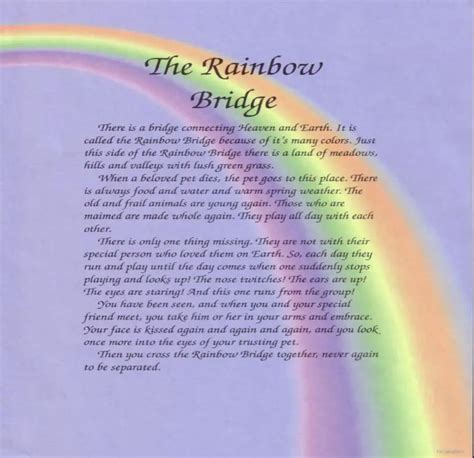 Rainbow Bridge Poem Flower