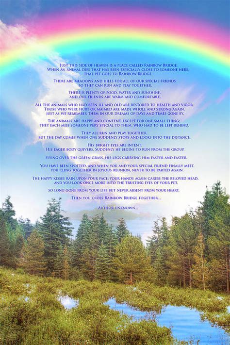 Rainbow Bridge Poem image 1