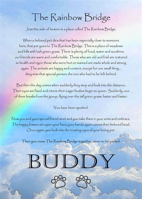 Rainbow Bridge Poem image 8