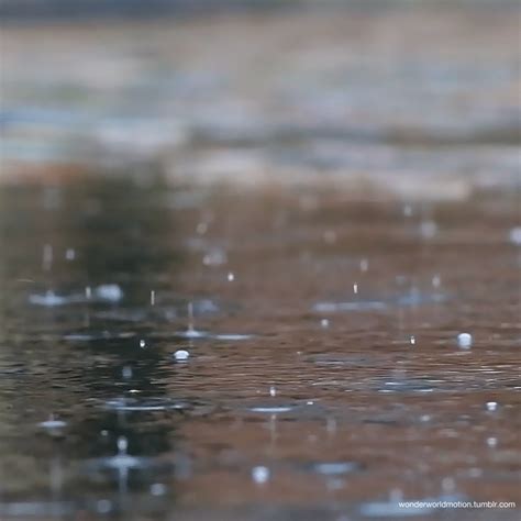 Raindrop GIF