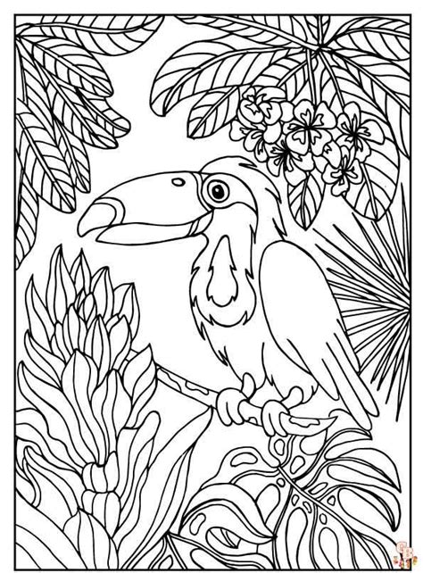 Rainforest coloring pages