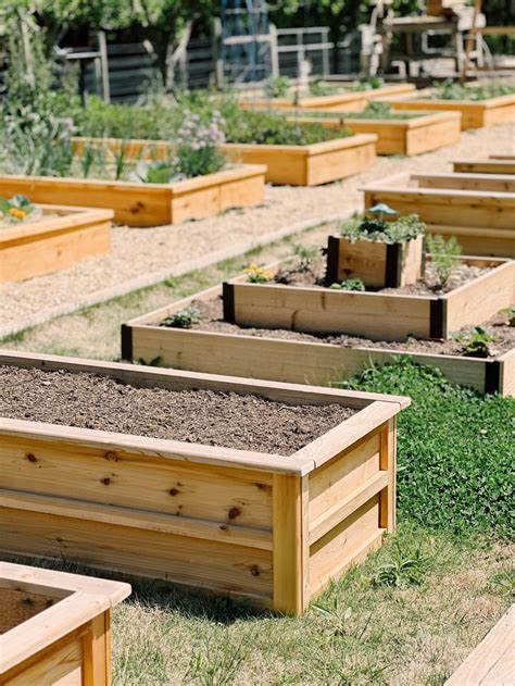 Raised Bed Gardening