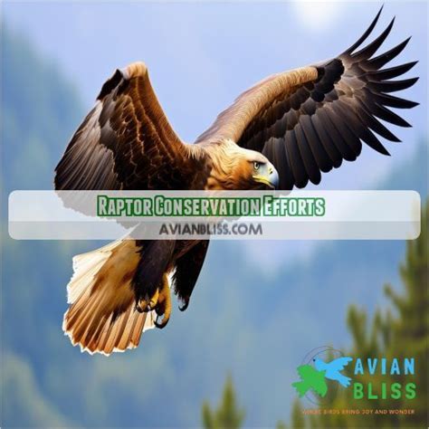 Raptor conservation efforts