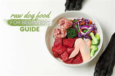 Raw Dog Food Diet