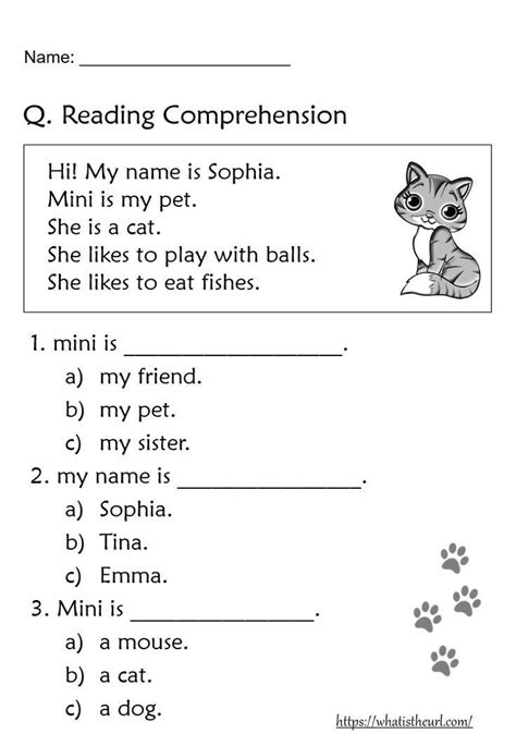 Reading Comprehension Worksheets