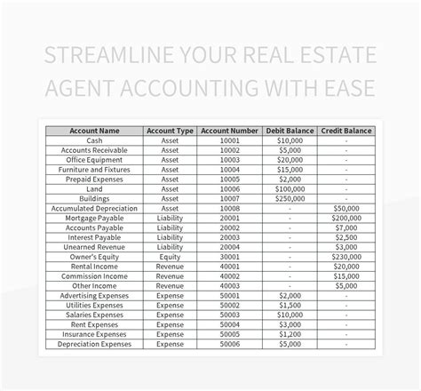 Real Estate Agent Accounting Software Template