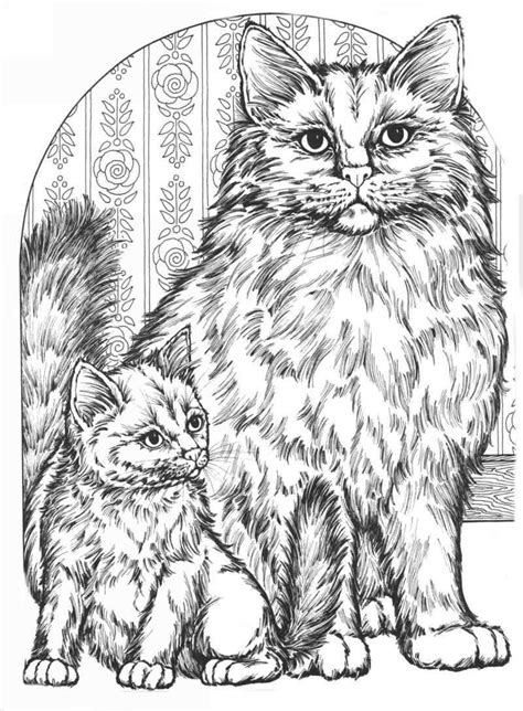 Realistic cat coloring pages