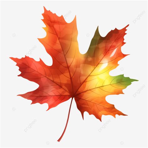 Realistic Leaf Template