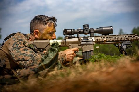 Recon Sniper gathering intelligence in a forest environment