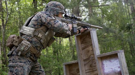 Recon Sniper training in a forest environment