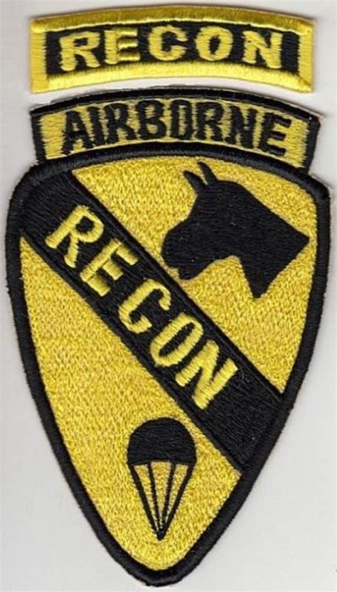 Recon unit insignia